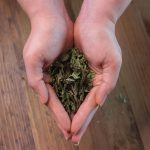 Simple pour le bien-être