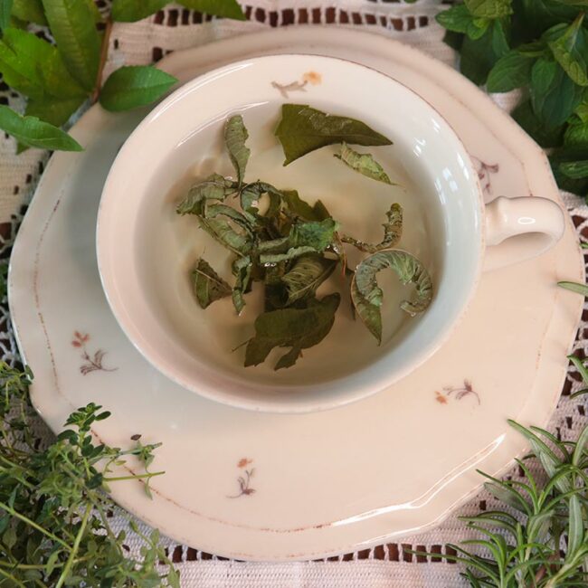 Feuilles entières biologiques à utiliser en tisane